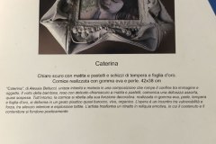 Critica Roberto Litta