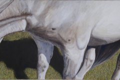 Cavallo al pascolo acrilico su tela 120 x 40