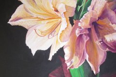 Amaryllis, olio su tela 40 x 50