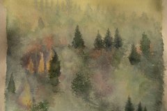 Il bosco delle nebbie, acquerello 50 x 34