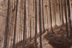PERSO NEL BOSCO Olio su tela 60x40 La conosci quella sottile inquietudine, quel senso di dovere rincorrere richieste sempre più incalzanti, quella sensazione di non farcela e rimanere sempre indietro.