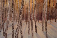 RISVEGLI Olio su tela 50x60 I primi passi incedono in un bosco appena svelato dallo sciogliersi delle nevi. Una natura assonnata pigramente si risveglia. Sottili ed eleganti, riflettono con il candore della loro corteccia il chiarore, specchio d'argento.