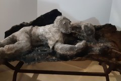 Cenere 11, scultura in cenere di ulivo su tronco di ulivo, 2020